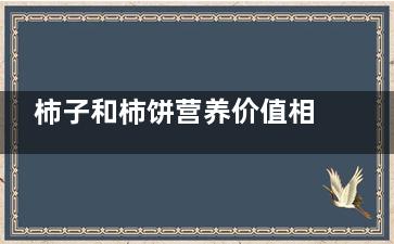 柿子和柿饼营养价值相当吗？ 柿饼的营养价值